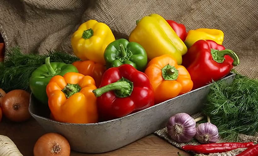 bell pepper suppliers in Iran