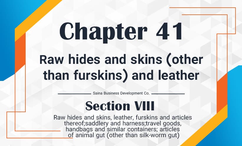 Raw hides and skins (other than furskins) and leather 