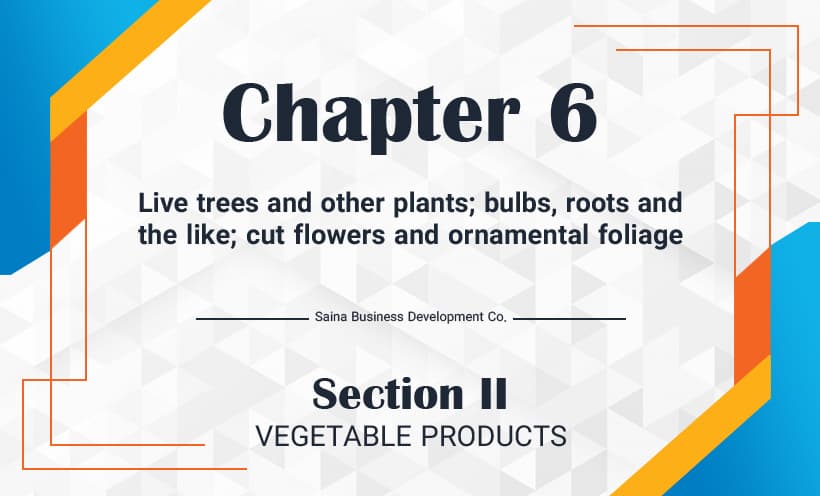 Live trees and other plants; bulbs, roots and the like; cut flowers and ornamental foliage