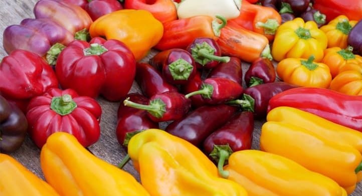 export Iranian sweet pepper