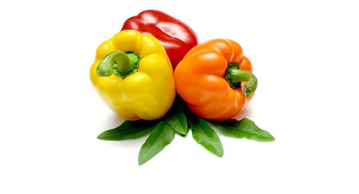 Iranian bell-pepper suppliers